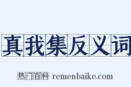 真我集反义词是什么意思的图片
